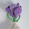 Crocus
5
