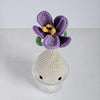 Crocus
3