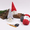 Shy christmas gnomes
2
