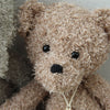 Teddy Friends
4