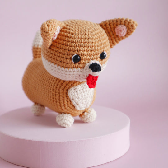 Cooper the Corgi