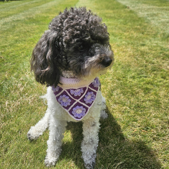 Millie’s - Dog bandana
2