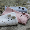 Teddy Blanket
4