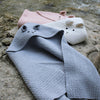 Teddy Blanket
5