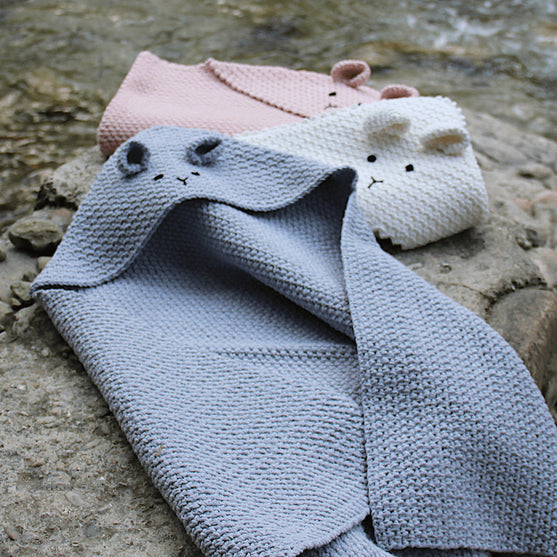 Teddy Blanket
5