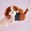 Gus the Basset Hound
7