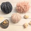 Sea Urchin
2