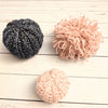 Sea Urchin
3