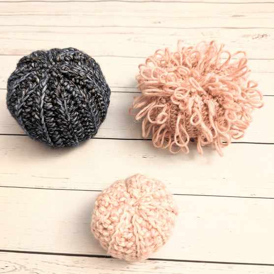 Sea Urchin
3