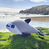 Vaquita Porpoise
2