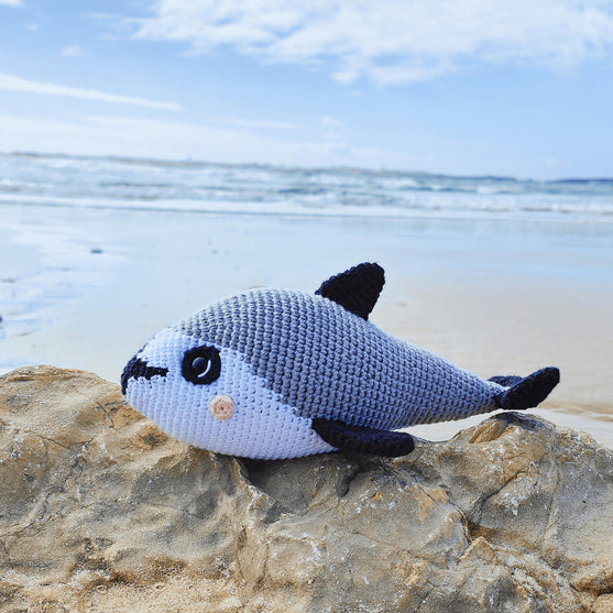 Vaquita Porpoise
1