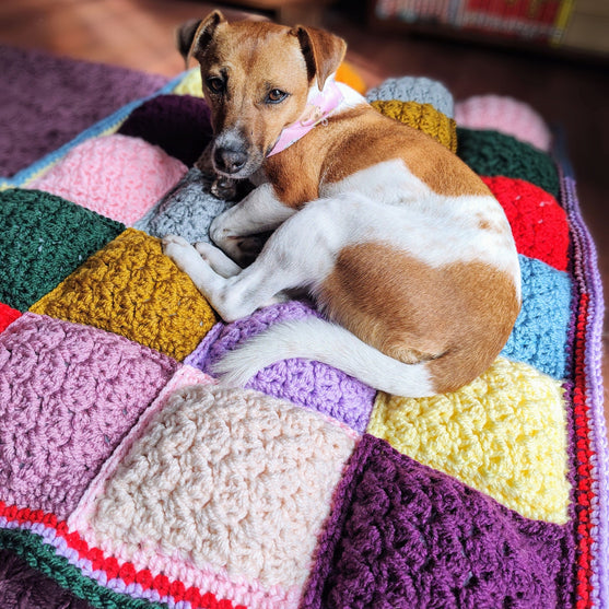 Soft Squares - Padded Throw
6