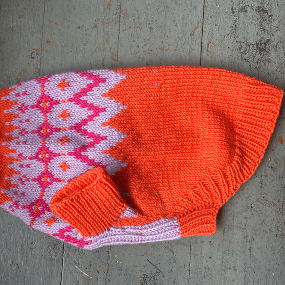 Bichon Havanais - Dog Sweater
4
