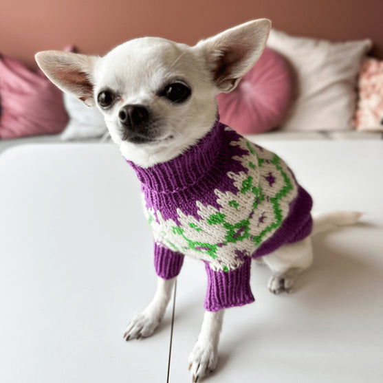 Chihuahua - Dog Sweater
4