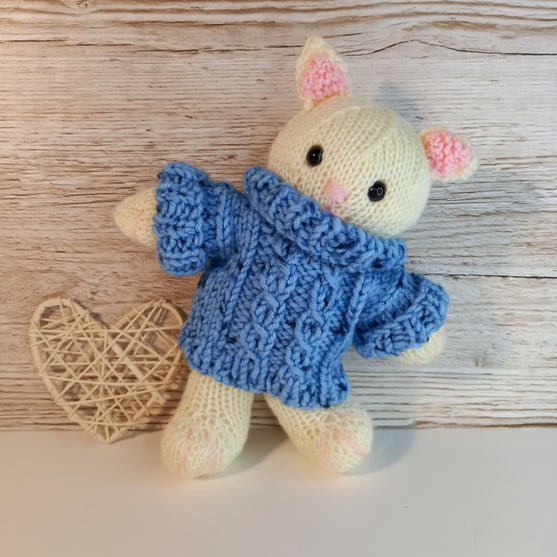 Kitten in Sweater
1