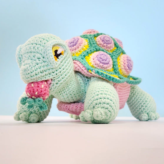 Astro the Tortoise
3