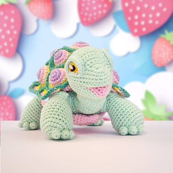 Astro the Tortoise
7