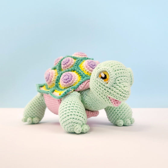 Astro the Tortoise
14