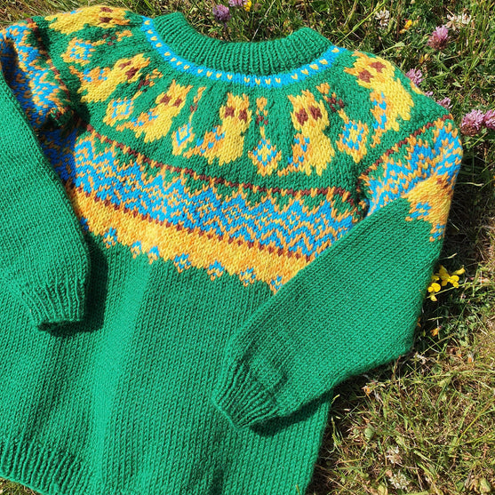 Silly Owl - Children’s sweater
3