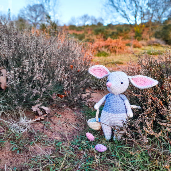 Alice the Easter Bilby
2