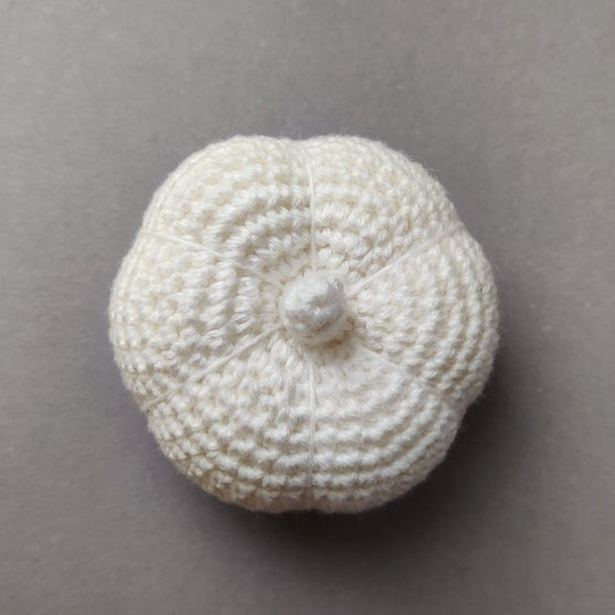 Garlic - Play food
4