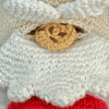 Santa - Surprise
4