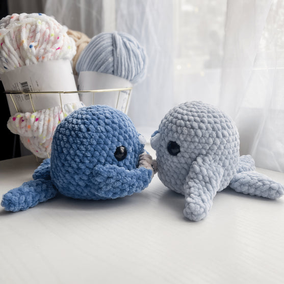 Sushi the Chunky Seal
2