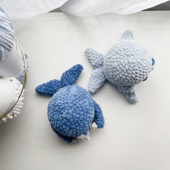 Sushi the Chunky Seal
3