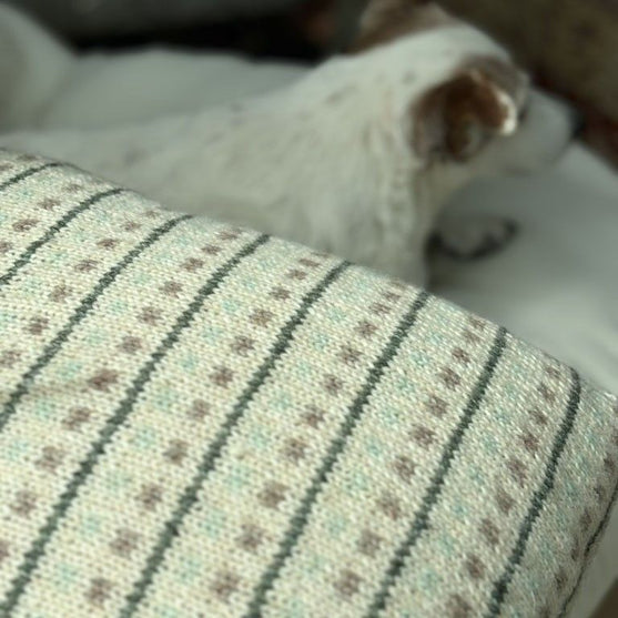 Homebody - Cushion Cover
4