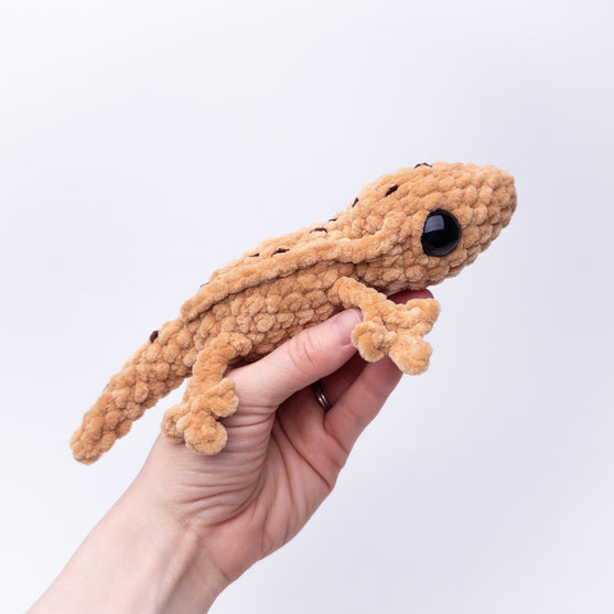 Gavin the Gecko
2