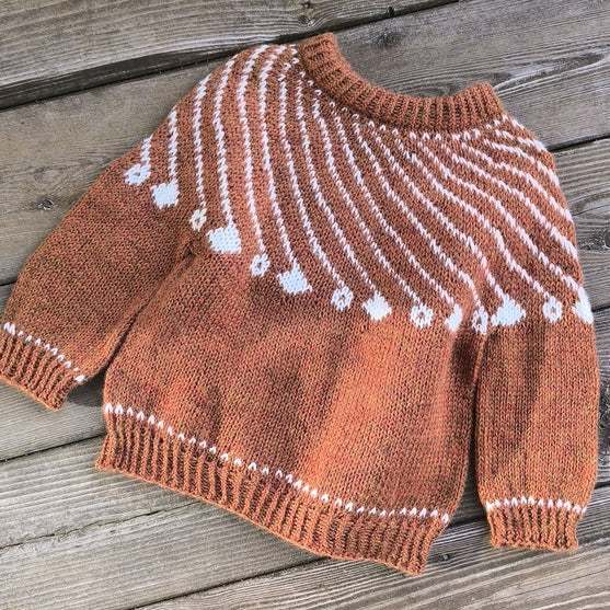 Shooting Star - Children’s Sweater
4