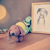 Dagobert Dachshund
3