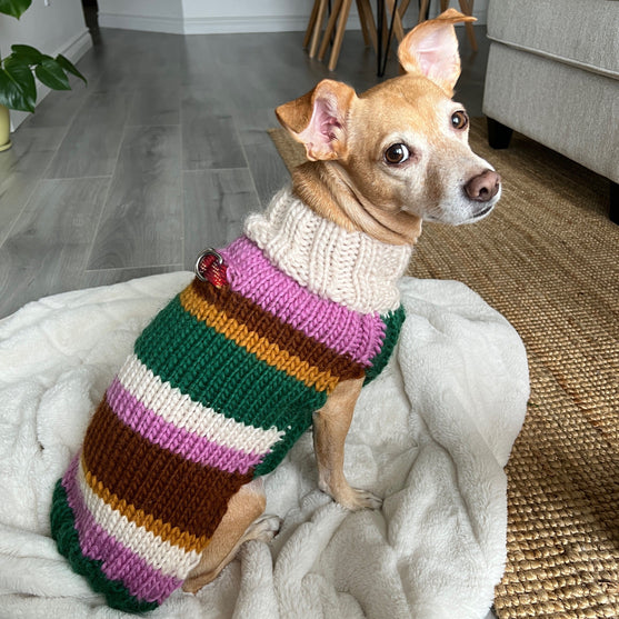 Benson - Dog Sweater
2