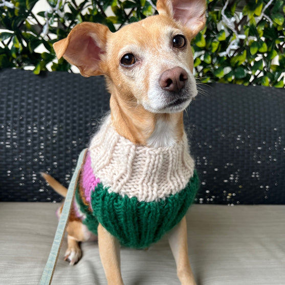 Benson - Dog Sweater
3