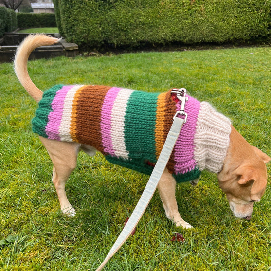 Benson - Dog Sweater
4