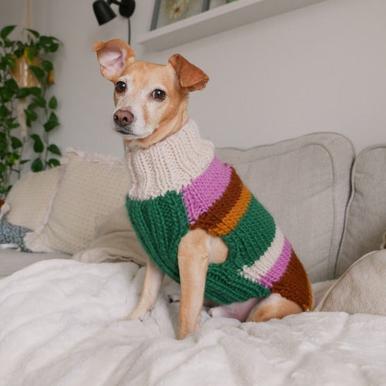 Benson - Dog Sweater
1