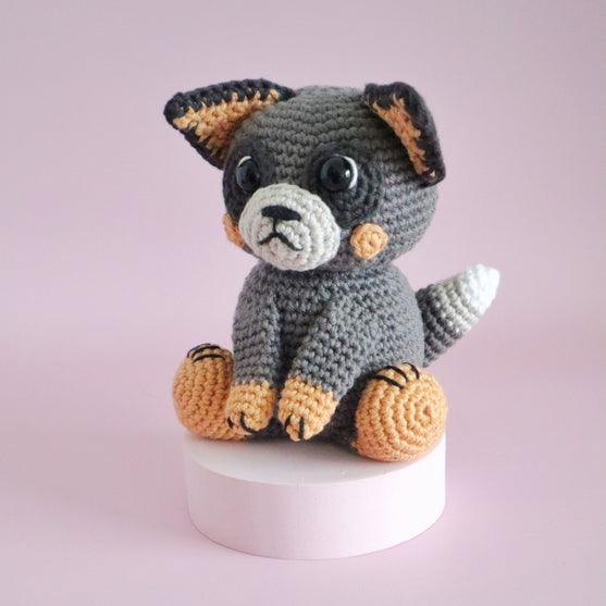 Buddy the Blue Heeler
4