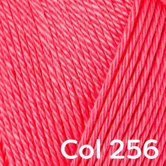 Catania - Schachenmayr
44