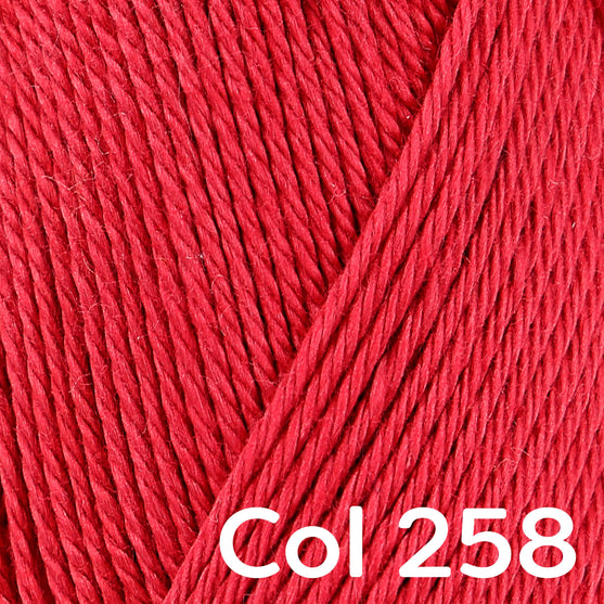 Catania - Schachenmayr
46