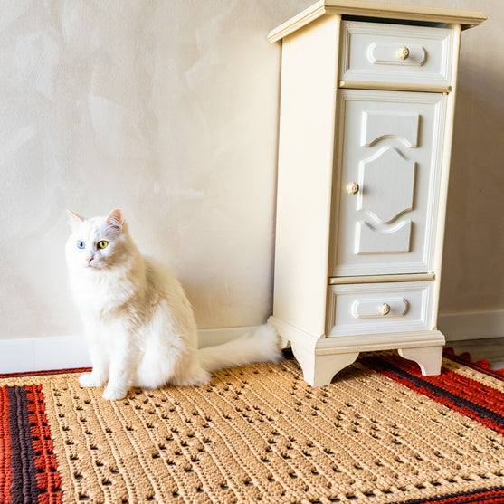 Ballard Floor Rug
2