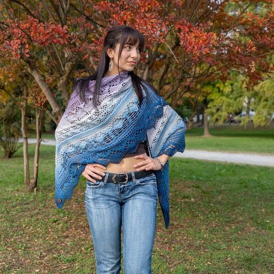 Frozen Iris - Shawl
11