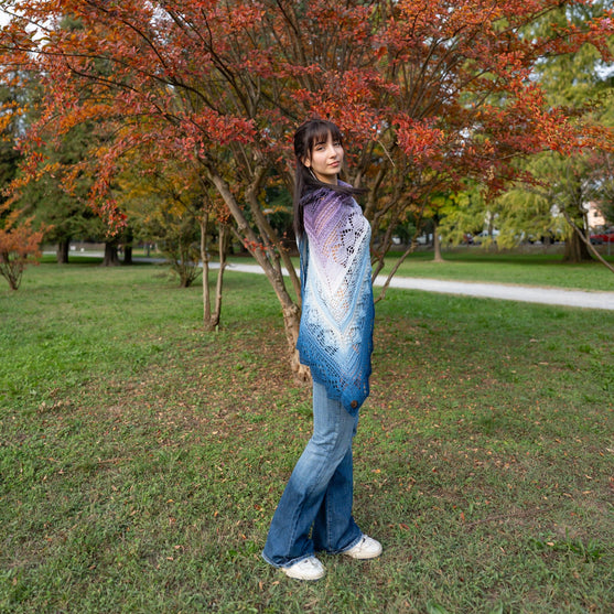 Frozen Iris - Shawl
12