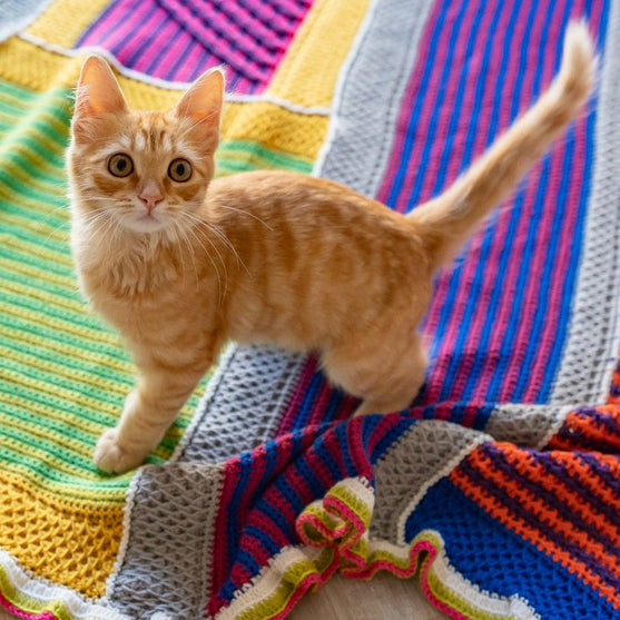 Sunlit Seaside - Blanket
8