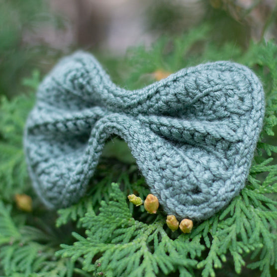 Wow Bow - Dog bow
5