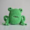 Splashy the Frog
5