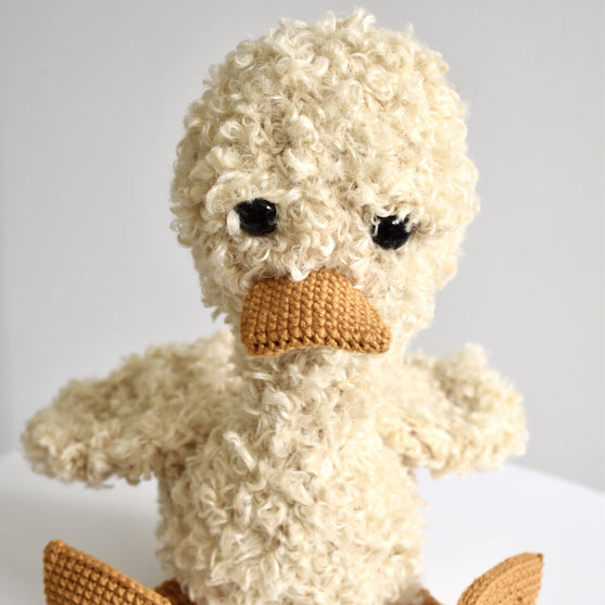 Pippin the Duckling
2