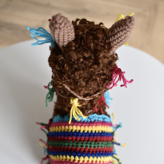 Pico the Alpaca
10