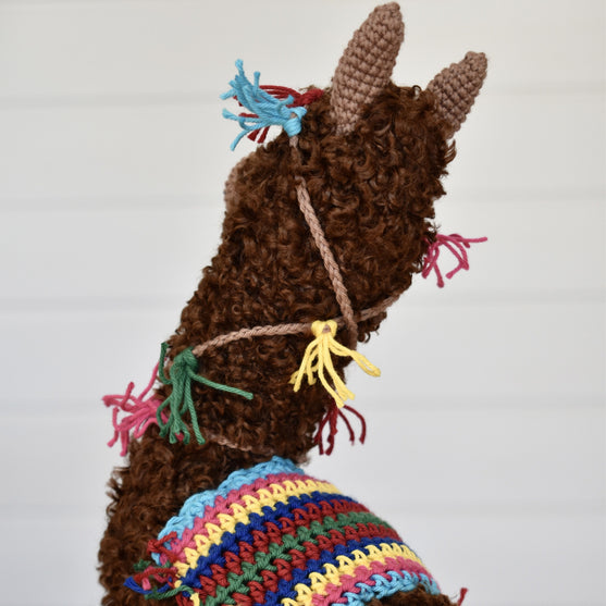 Pico the Alpaca
7