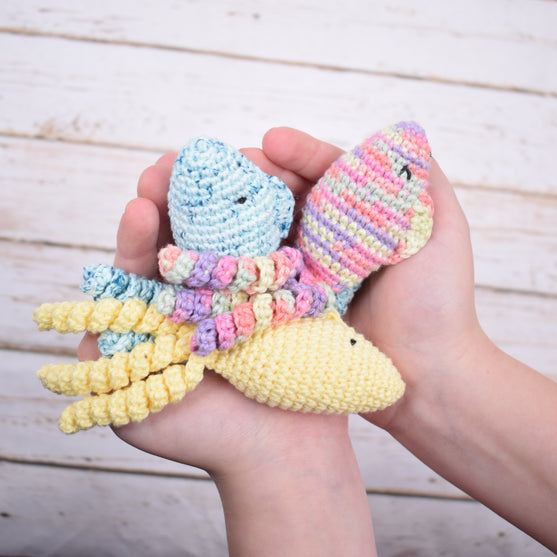 Comfort Fish – Jelly Junior
2