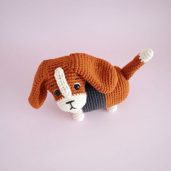 Gus the Basset Hound
2